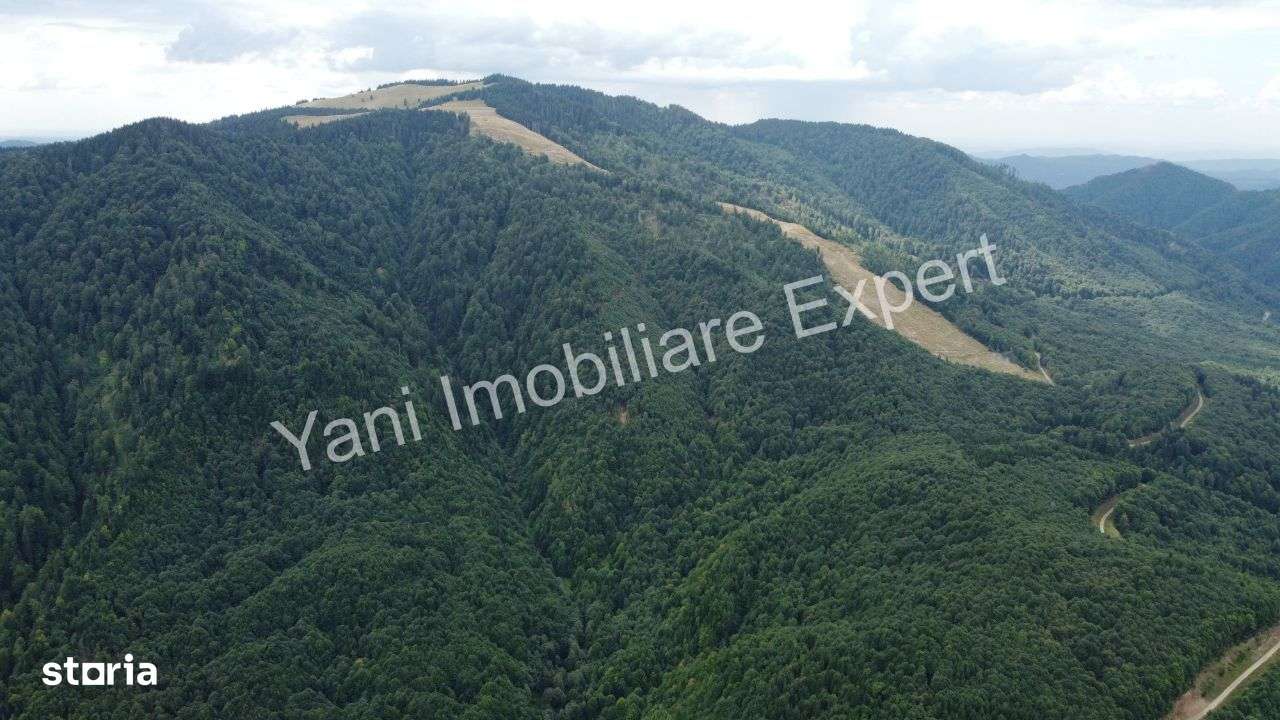 Teren de vânzare pe Transfăgărășan, zona Molivișu ( 69.450 mp ) - Imagine principală: 4/20