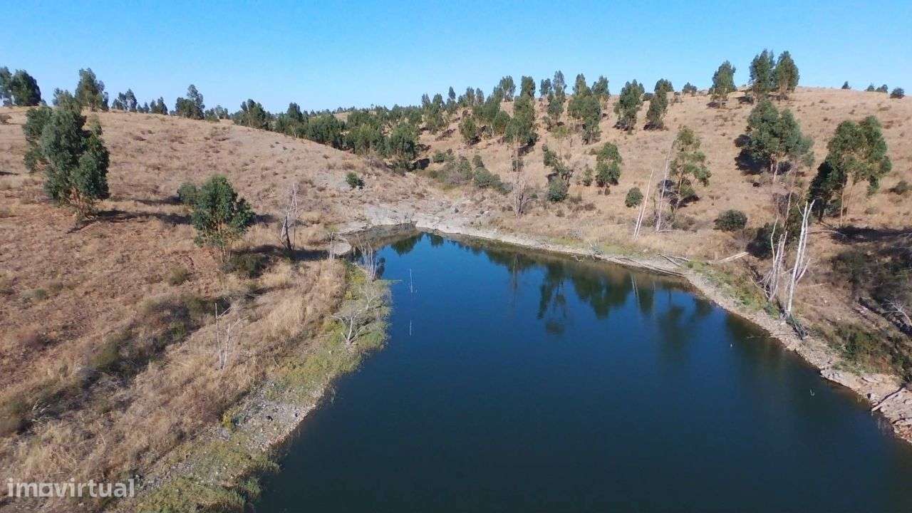 Alqueva - 3 Herdades confinantes 783 ha-5