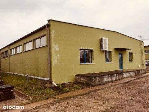 Hala produkcyjno-biurowa 1400m2 magazyn 630m2 Śrem - Pełny obrazek: 4/5