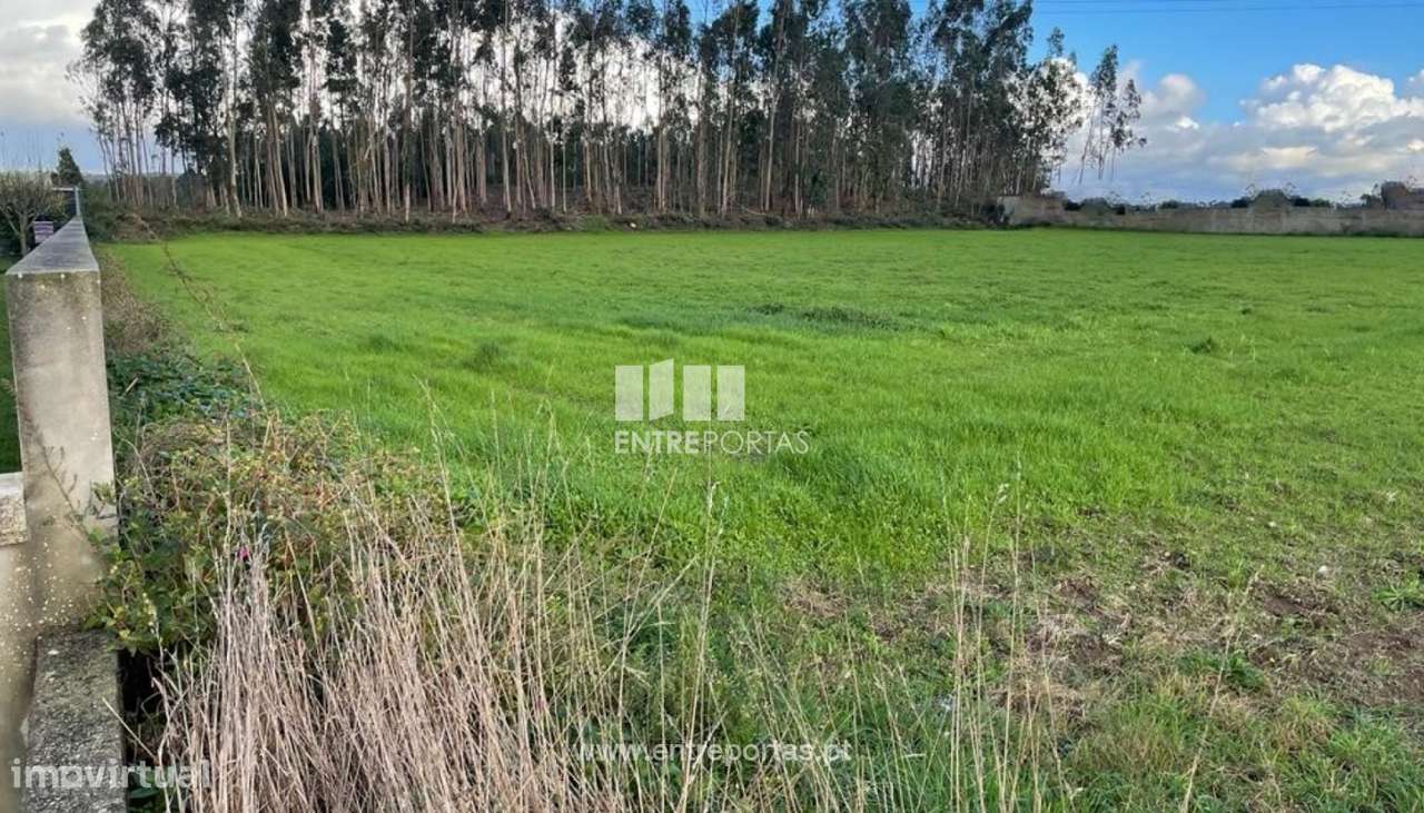 Terreno com 4550 m2, para venda, Tougues, Vila do Conde - Grande imagem: 3/12