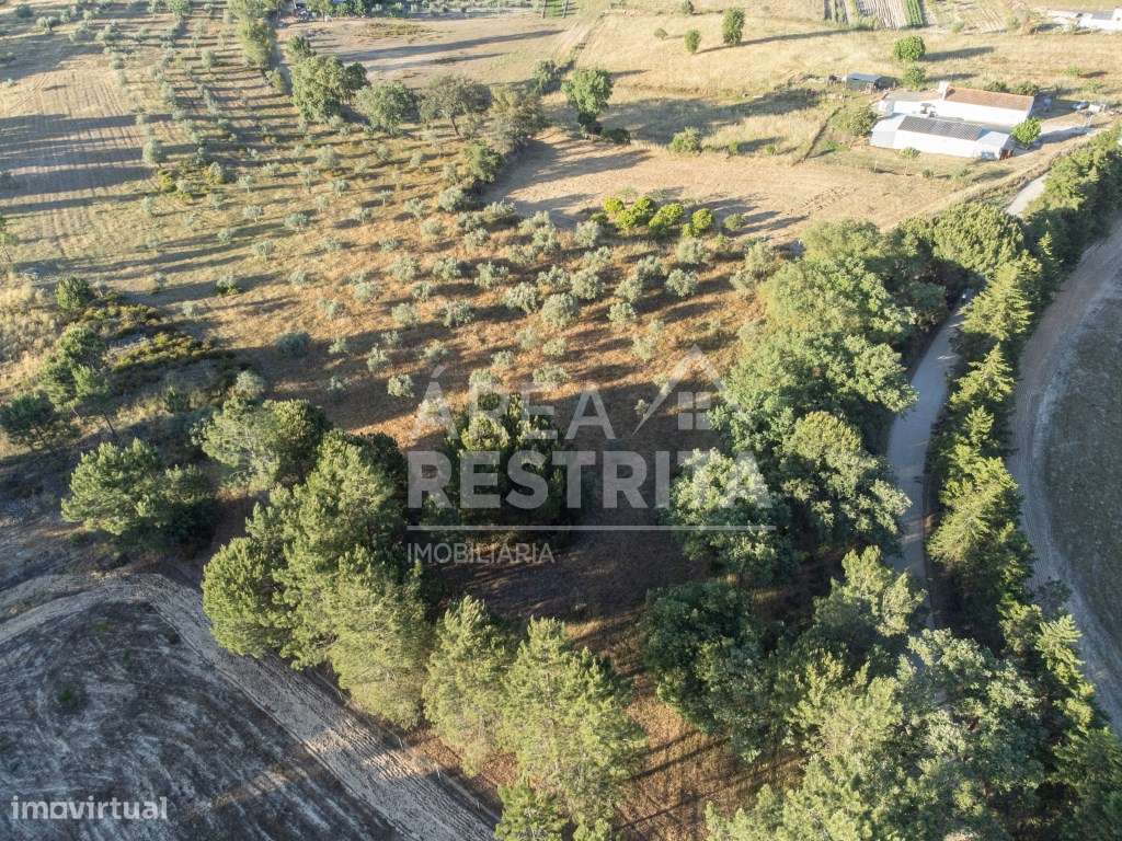 Terreno 5000 m2 -Canha com viabilidade de construção 500 m2 - Grande imagem: 5/8