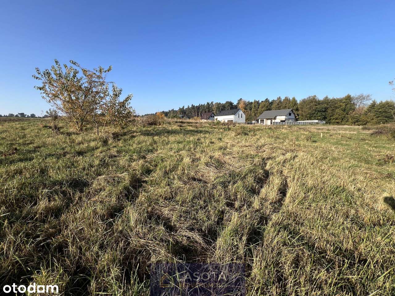 Szymanowo 1919m2 -media w drodze |lasy, jeziora|-6