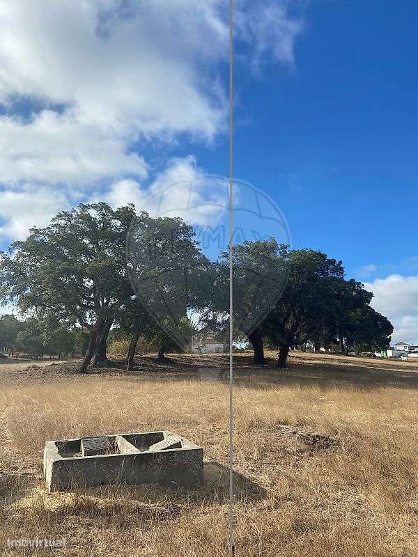 Quinta T0 para arrendamento - Grande imagem: 4/24