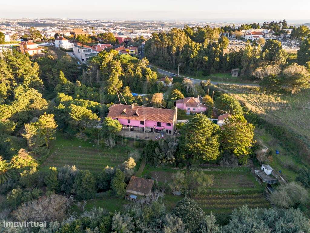 QUINTA COM 22.000 m² E TRÊS MORADIAS EM LOCALIZAÇÃO PRIVILEGIADA DE...-2