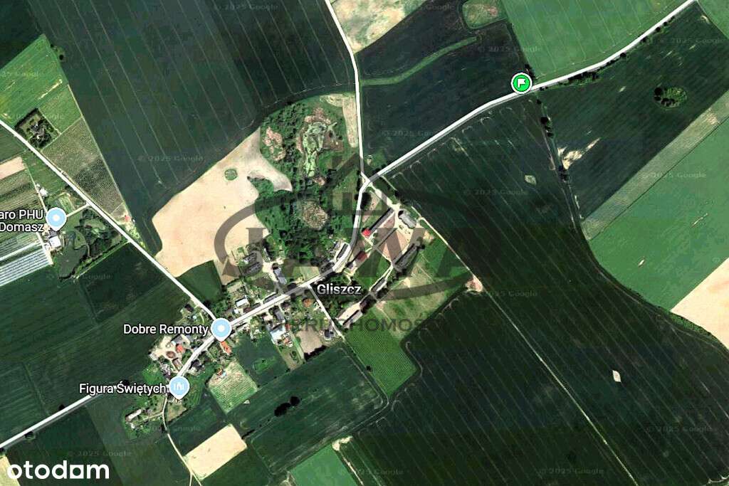 1,5 hektara ziemii rolnej Gliszcz, gmia Sicienko - Pełny obrazek: 4/5