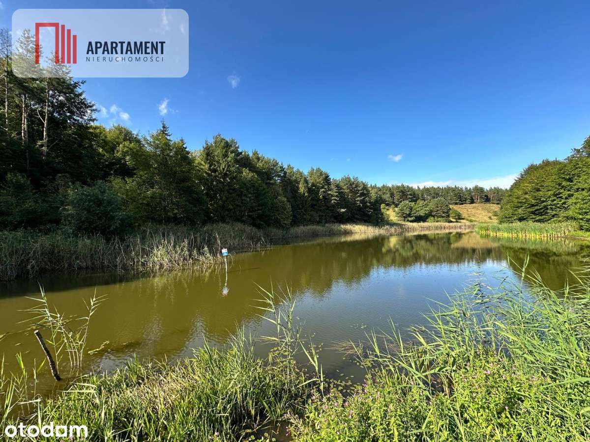 Unikalna działka 3,76 ha z własnym jeziorem! - Pełny obrazek: 4/15