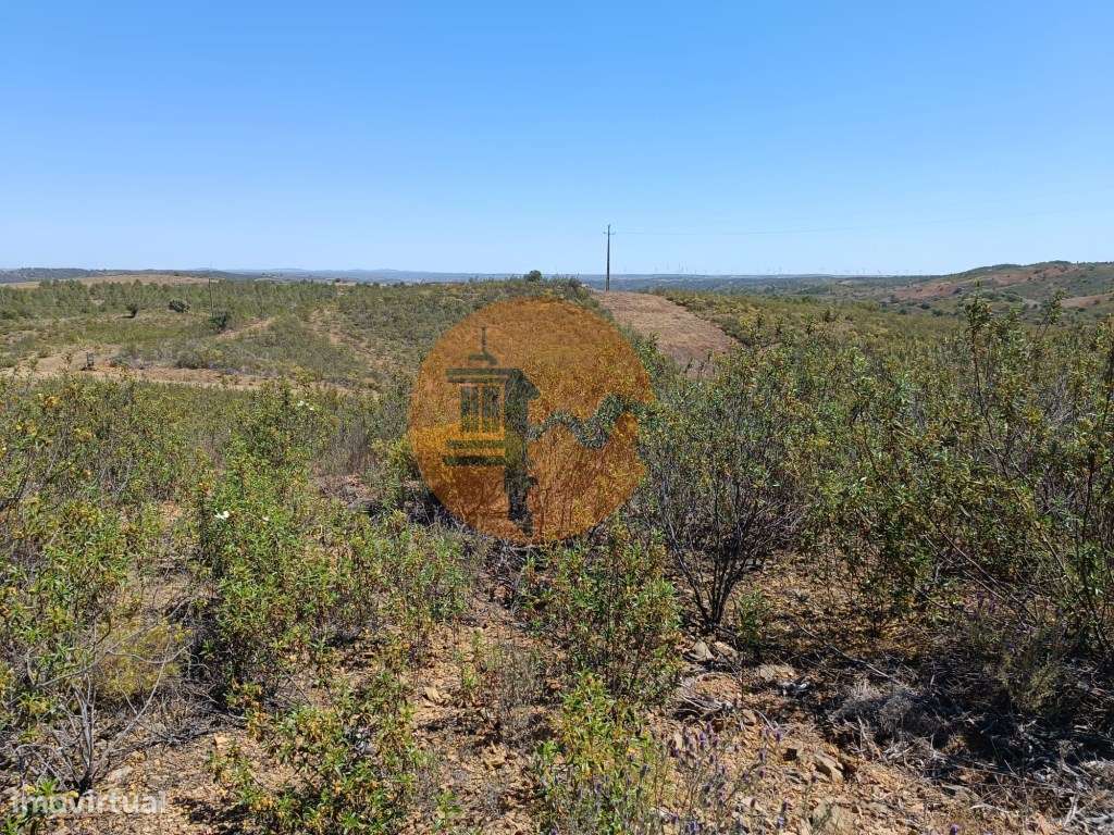 TERRENO COM 34.700 M2 - POSSIBILIDADES DE CONSTRUIR UM ARMAZEM - PR...-11