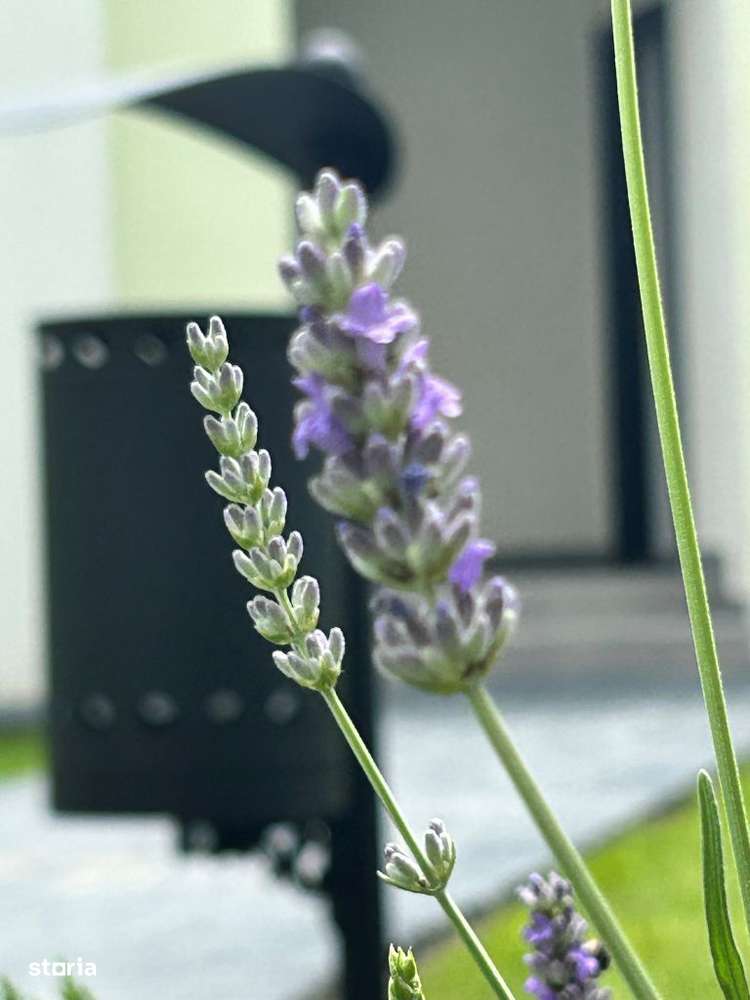 Apartament NR.30 - CU GRADINA - Parter - Curtea Interioara 2 - Imagine principală: 4/14