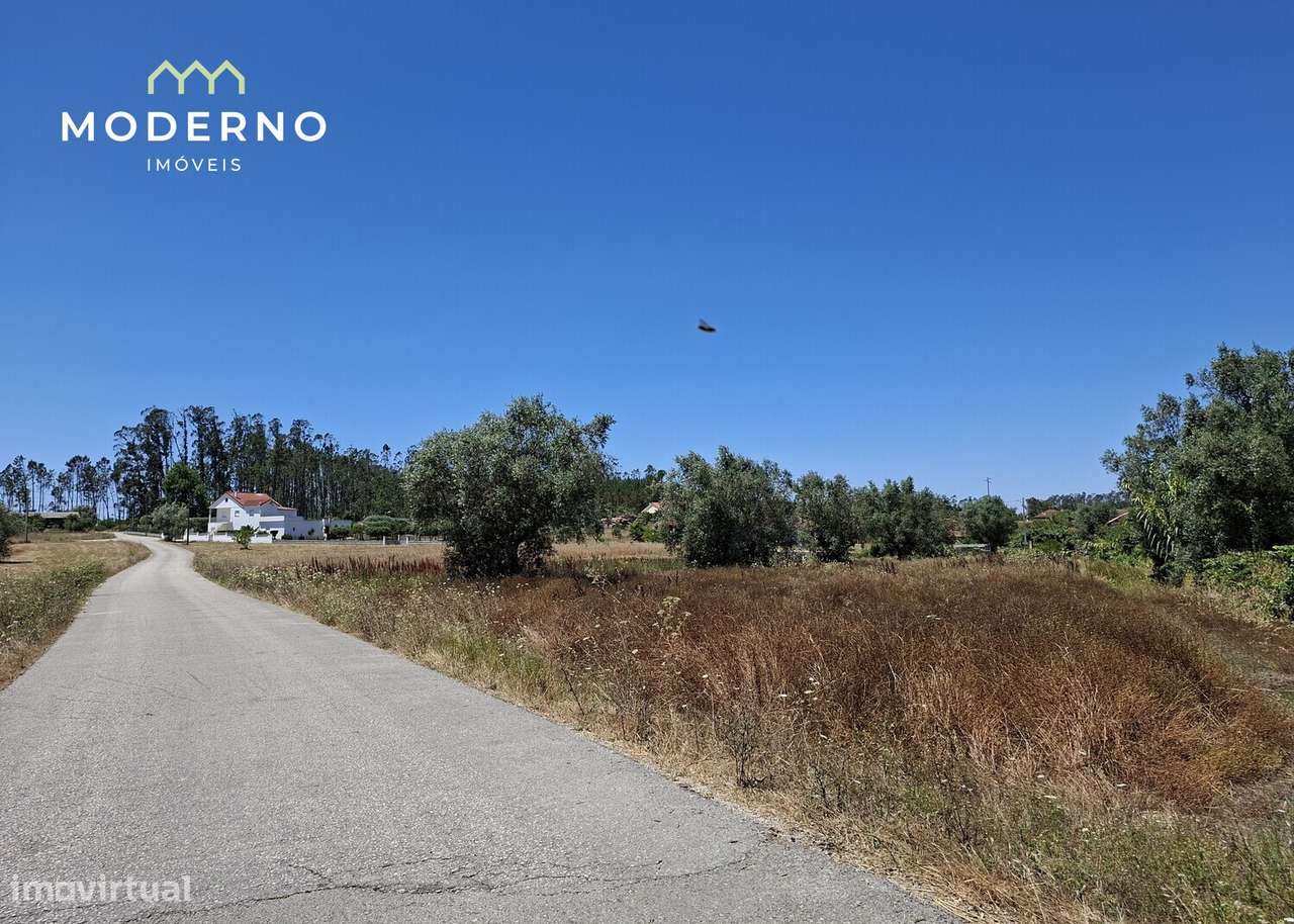 Terreno Construção – Moitas Brancas, Ilha, Pombal-8