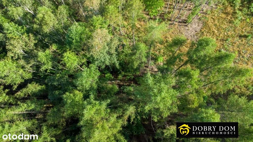 * Działka z Warunkami Zabudowy * gmina Juchnowiec - Pełny obrazek: 4/7