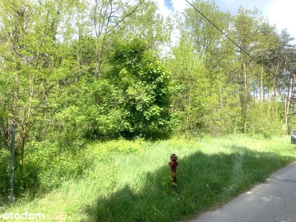 Malownicza działka budowlana z lasem na sprzedaż M - Pełny obrazek: 5/10