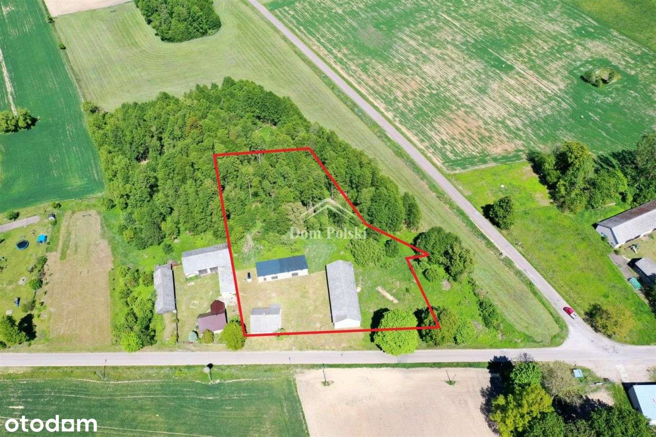 Siedlisko 0,5 ha na Suwalszczyźnie, Nieszki :) - Pełny obrazek: 5/20