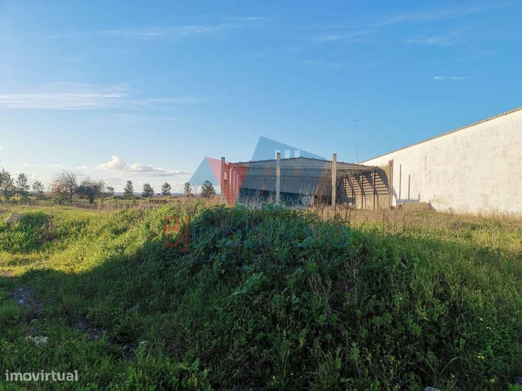 Terreno Rústico Venda Beja - Grande imagem: 4/4