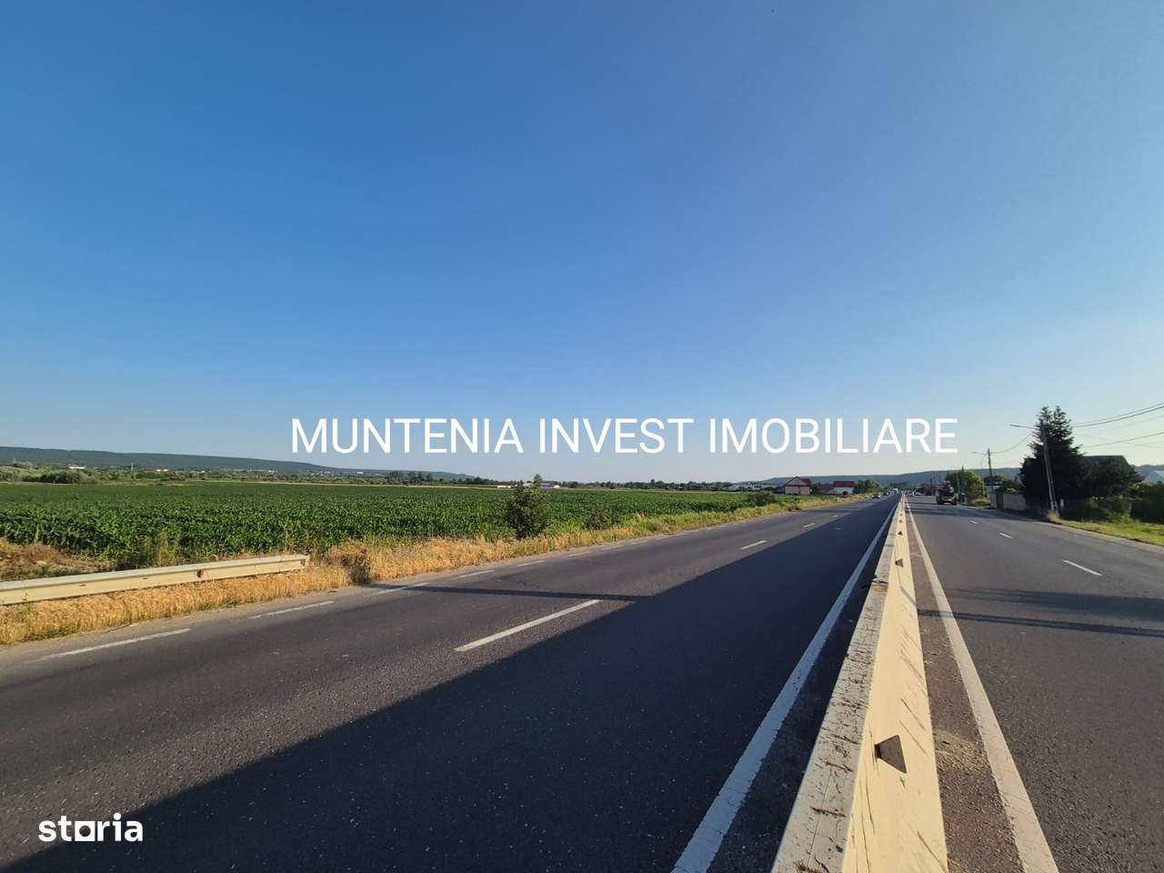 Teren 31703 mp. intravilan Purcăreni, Com. Micesti - Imagine principală: 2/5