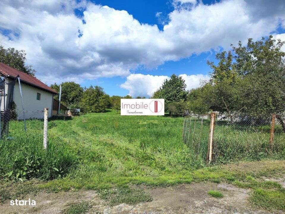 Vand teren | 4400 mp | Dambu Rotund-1