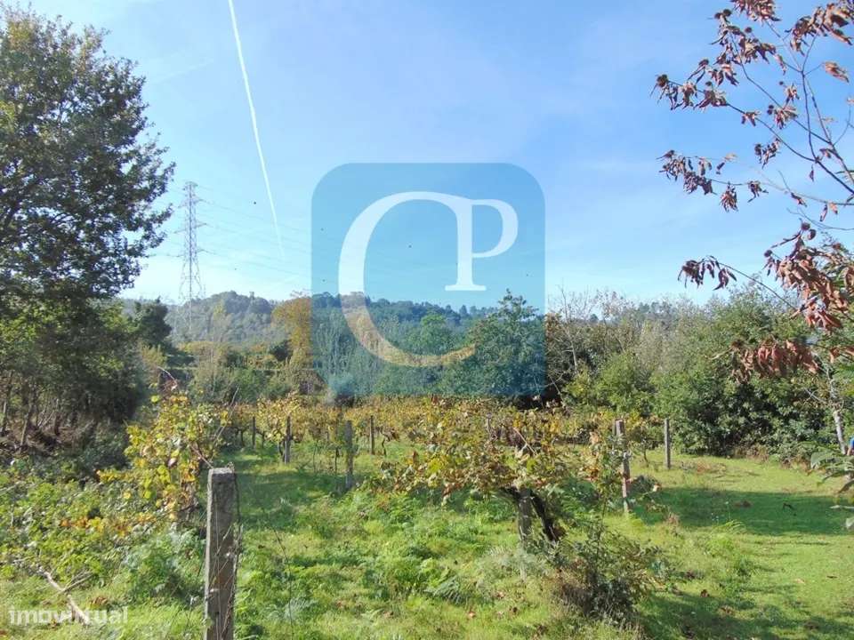 Propriedade em Cinfães do Douro para restauro, Viseu - Grande imagem: 3/17