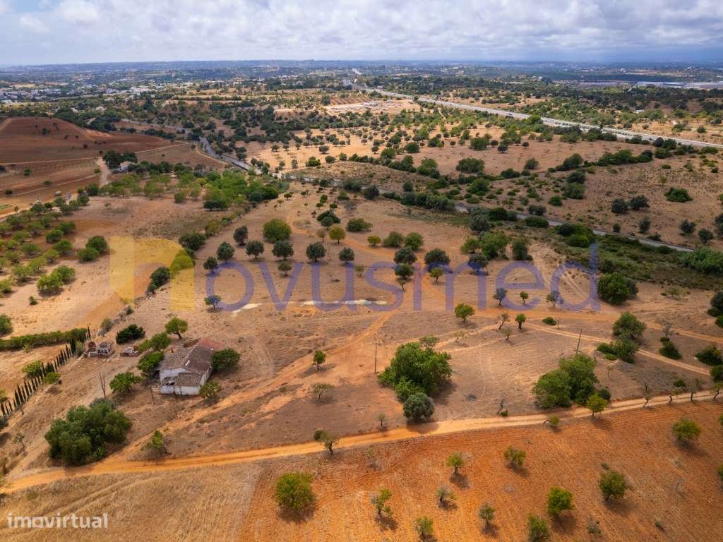 Quinta de 2,1 ha com Potencial para Turismo Rural- Guia Valverde-17