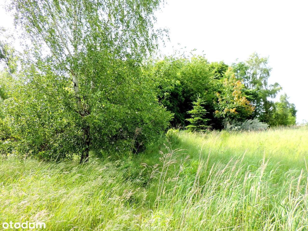 Twoje miejsce na wymarzony dom – Jakubowice Konińskie Kolonia 1956 m²-4