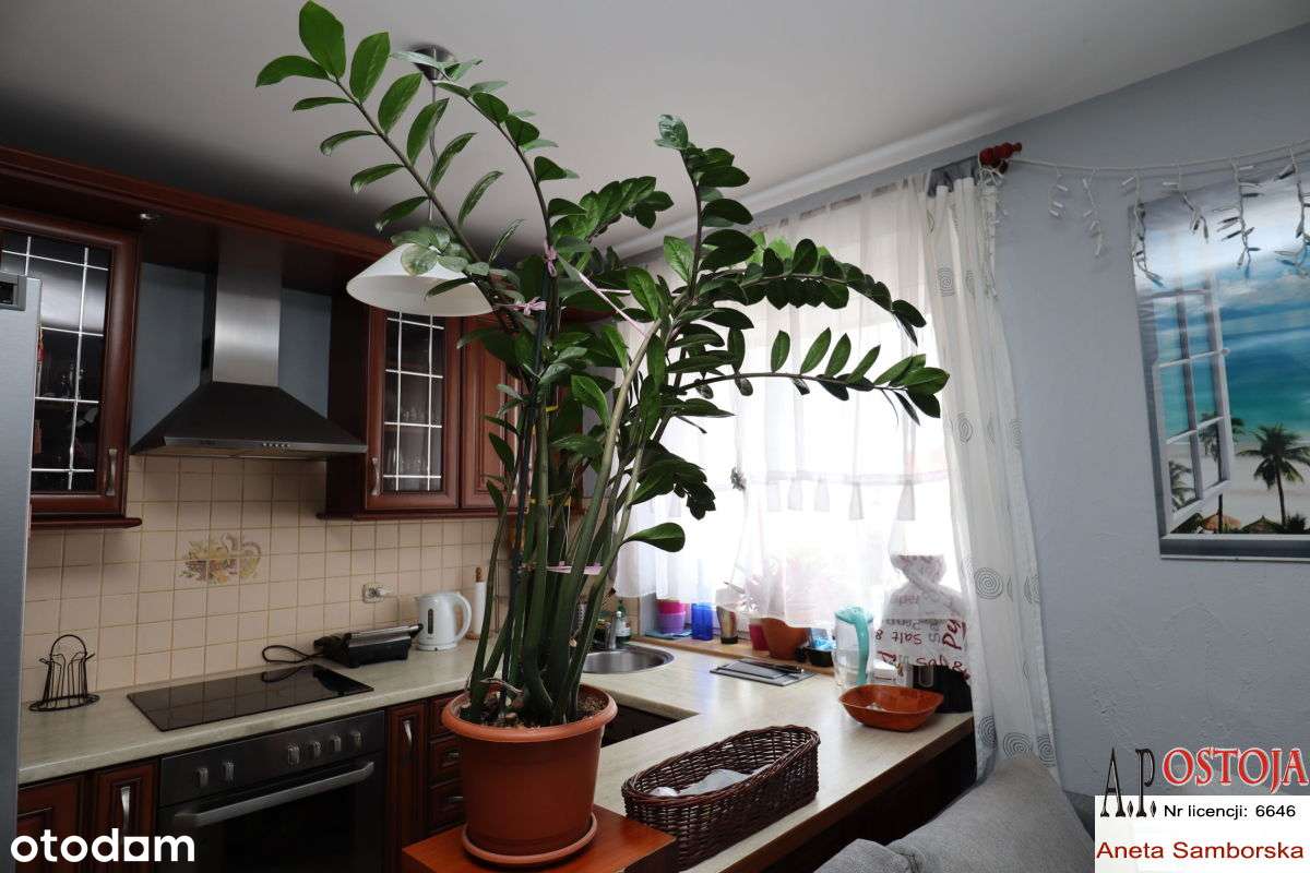 Skarbowców, 2 poziomy, Tylko 10 800 zł/1 m2!-0