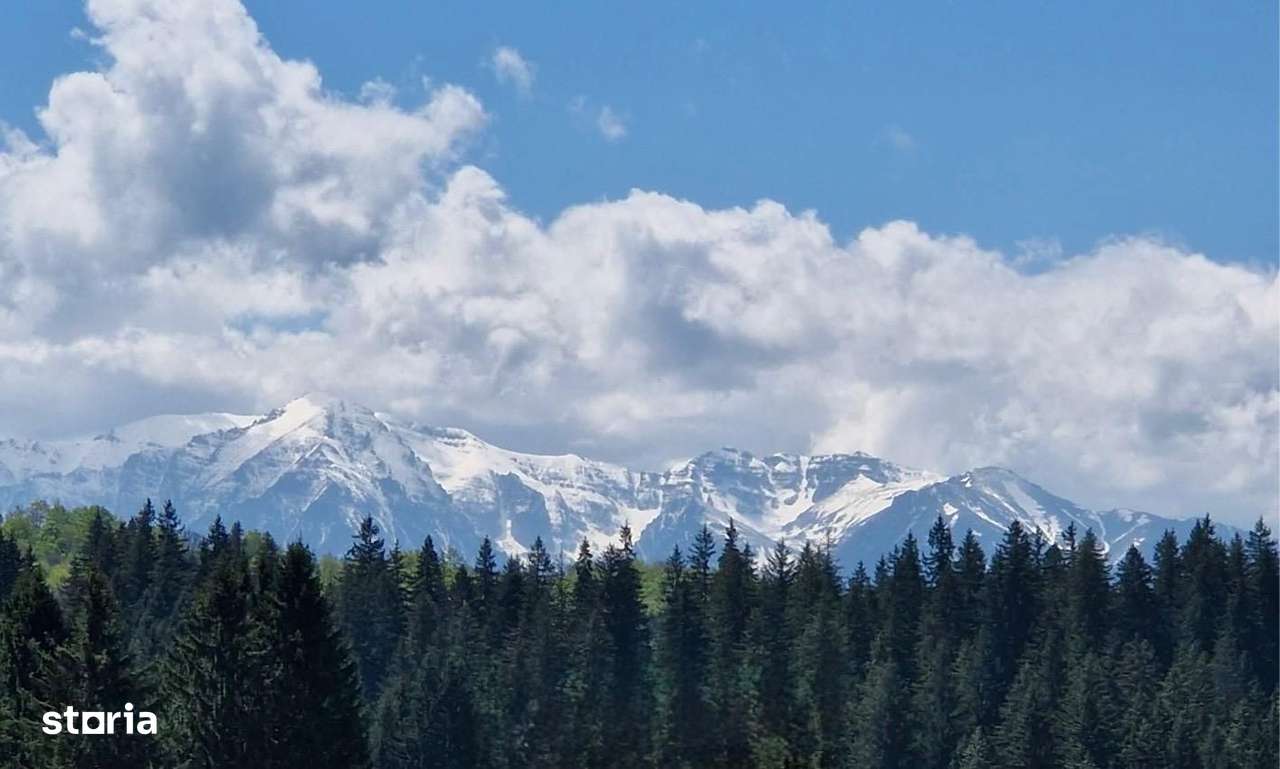 Teren 2.763 mp Poiana Brașov – lângă Stâna Turistică Sergiana-2