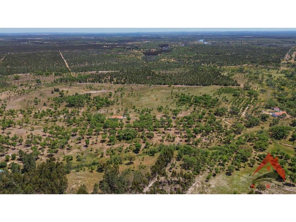 HERDADE DO BARRANCO - OPORTUNIDADE ÚNICA PARA TURISMO E INVESTIMENTO-11