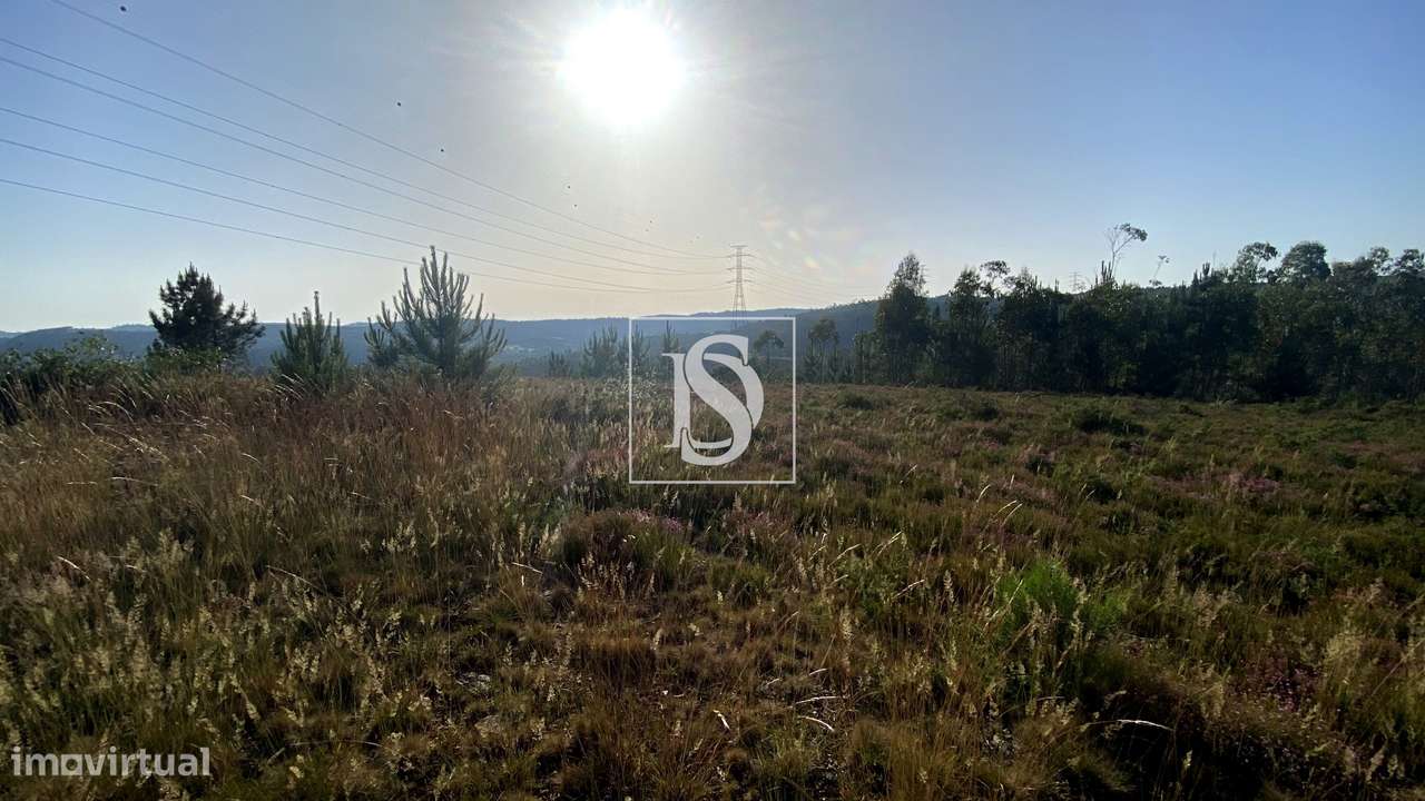 Terreno Florestal com 7.979 m² – Lamelas e Guimarei, Santo Tirso - Grande imagem: 2/4