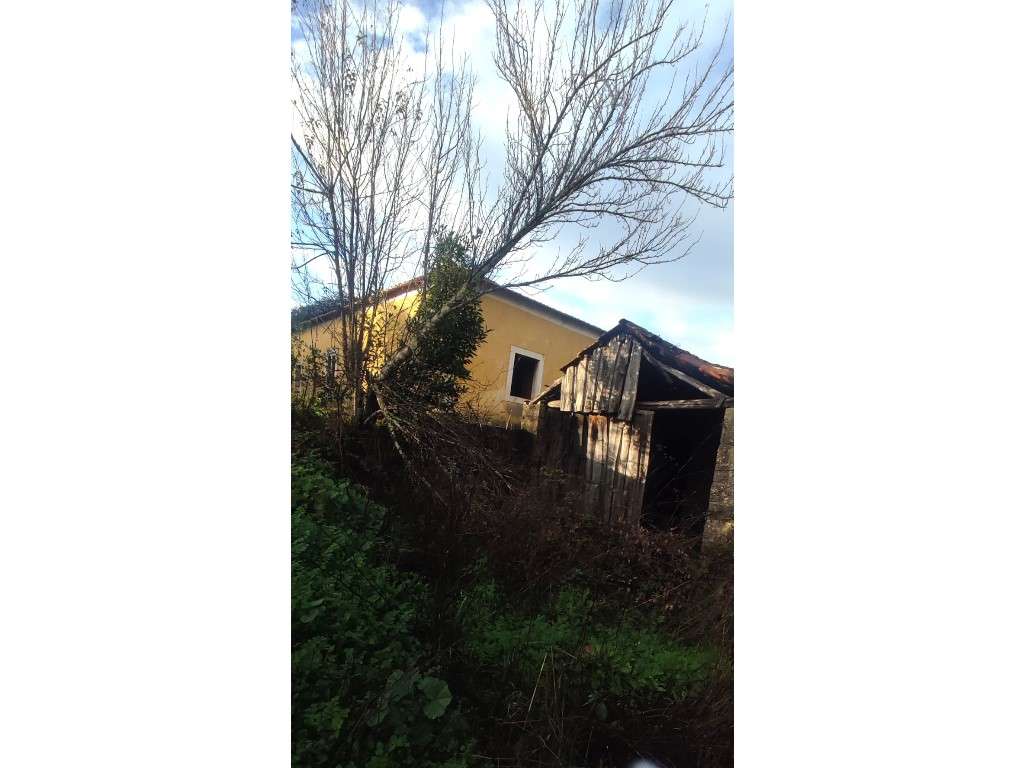 Casa para restauro com 6000m2 de terreno, localização única entre a... - Grande imagem: 4/22