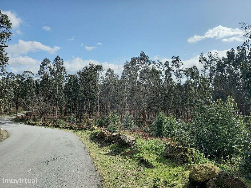 Terreno  para venda - Grande imagem: 4/15