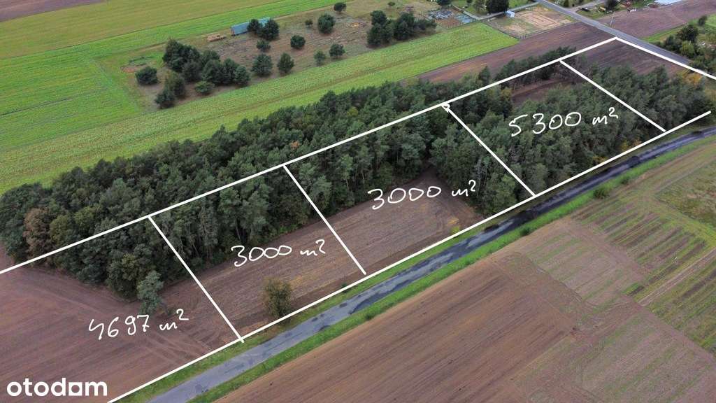 8 działek siedliskowo-budowlanych - Pełny obrazek: 5/12