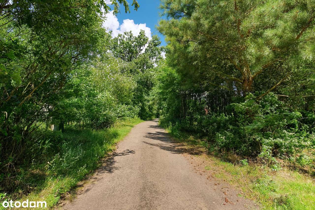 Twój dom wśród natury – działka 800m² przy rzece Wełnie-11