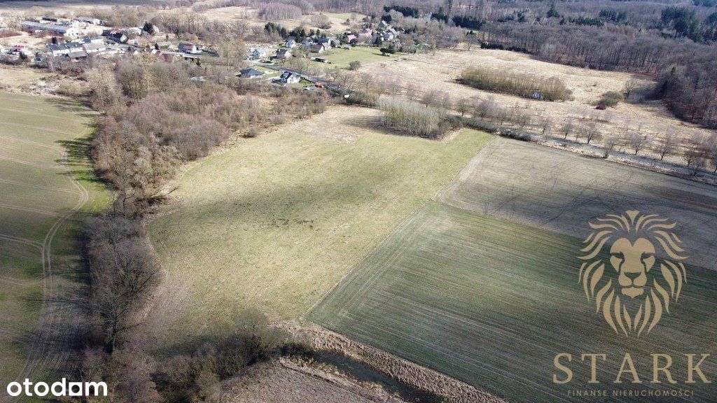 Działka rolno-inwestycyjna Kozy gm. Dobrzany - Pełny obrazek: 4/5