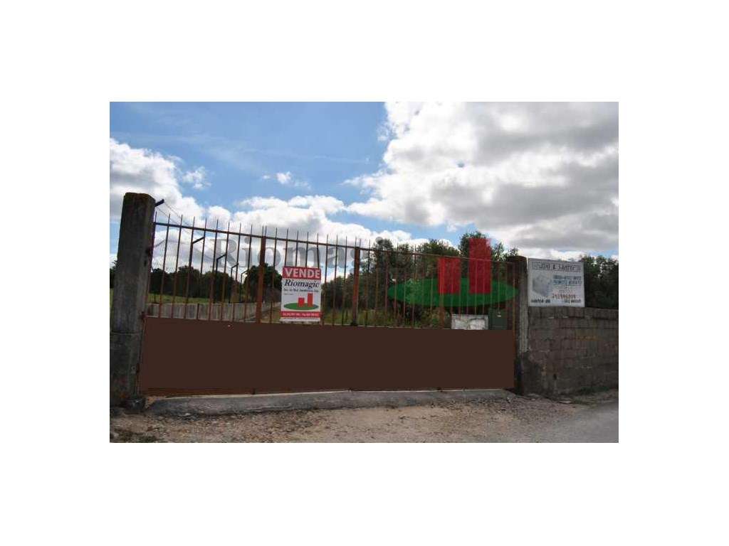 Terreno, com Viabilidade de Construção - Rio Maior - Grande imagem: 4/35