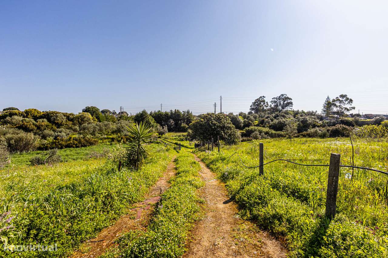 Apresento terreno agrícola com apoio habitacional T2 no Cartaxo-19