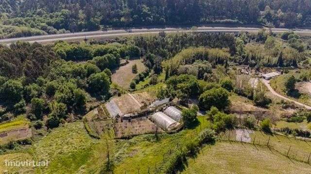 Quinta Exclusiva em Abação – Refúgio com 14.000 m²-32