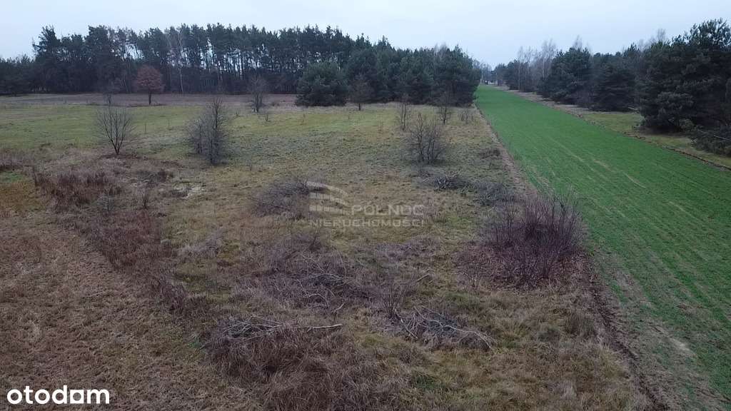 Na sprzedaż działki Starowola, gm. Jadów - Pełny obrazek: 5/9