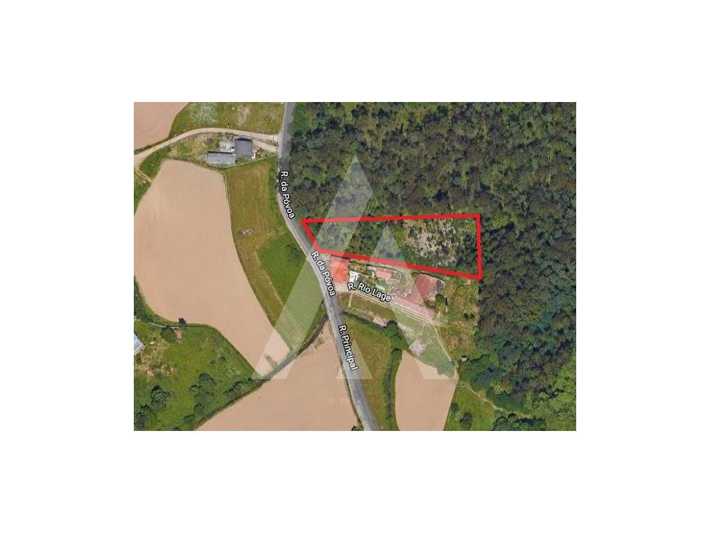 Terreno urbanizável próximo do Centro Histórico de Santa Maria da F... - Grande imagem: 5/5