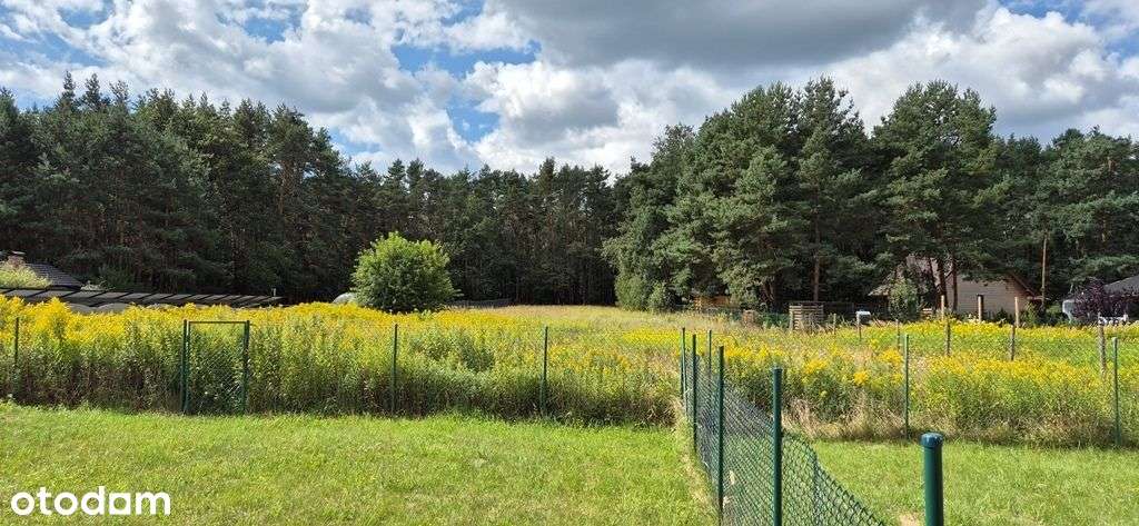 Trzy działki budowlane z Mpzp – 32,64 ara – dom-9