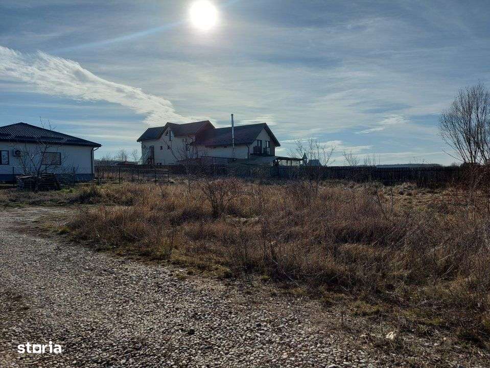 Loc de casa cu utilitati, 944mp cu 29m deschidere, Ciofliceni - Snagov-10