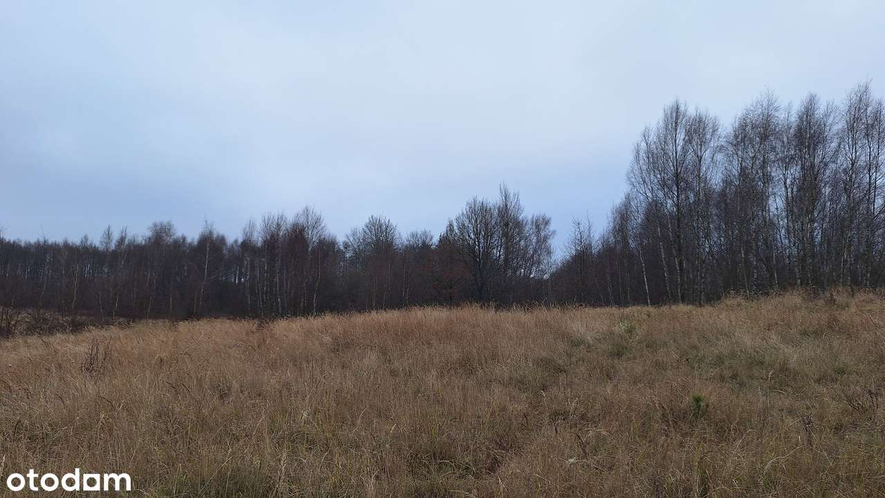 Kompleks 3 działek koło Stargardu - Pełny obrazek: 4/7