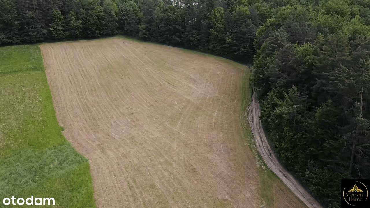 Bieszczady – wyjątkowe działki widokowe w Woli Matiaszowej. - Pełny obrazek: 5/9