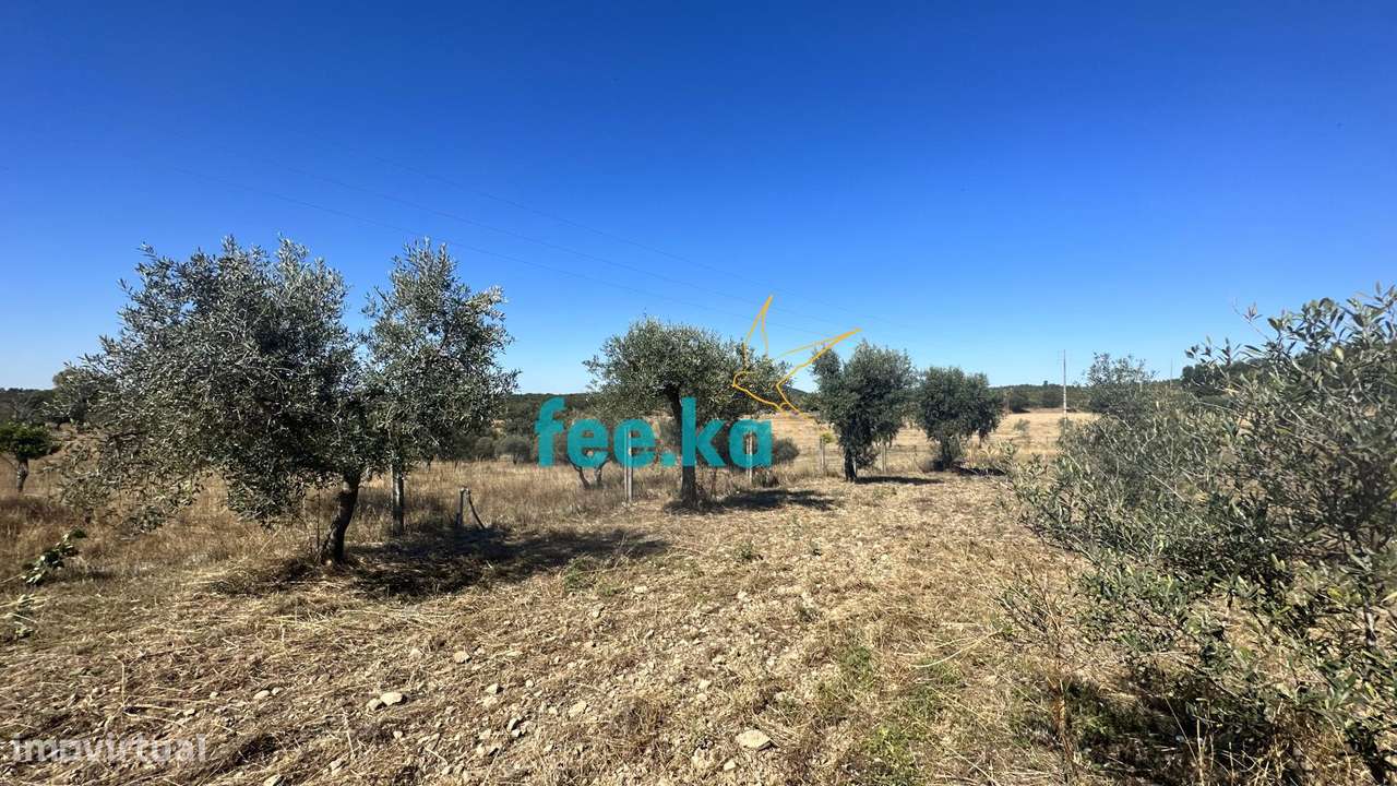 Quintinha em Monfortinho-26