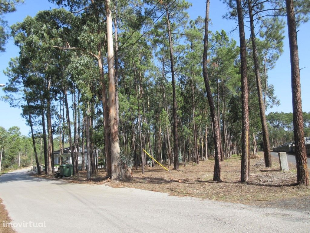 Terreno com área de 4.586 m2