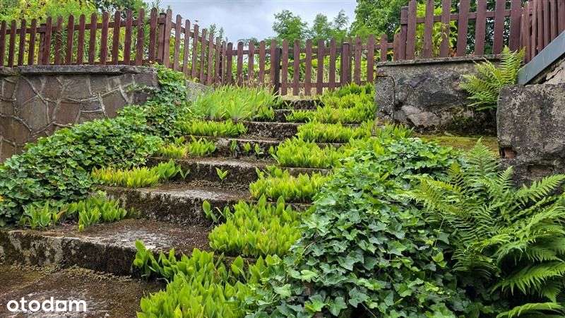 Przestronne mieszkanie w malowniczym Łagowie-17