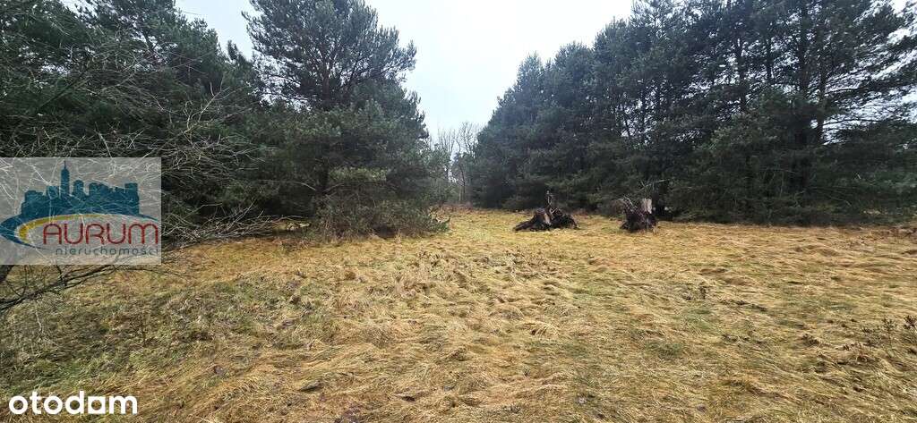 Gozdnica dom wolnostojący-14