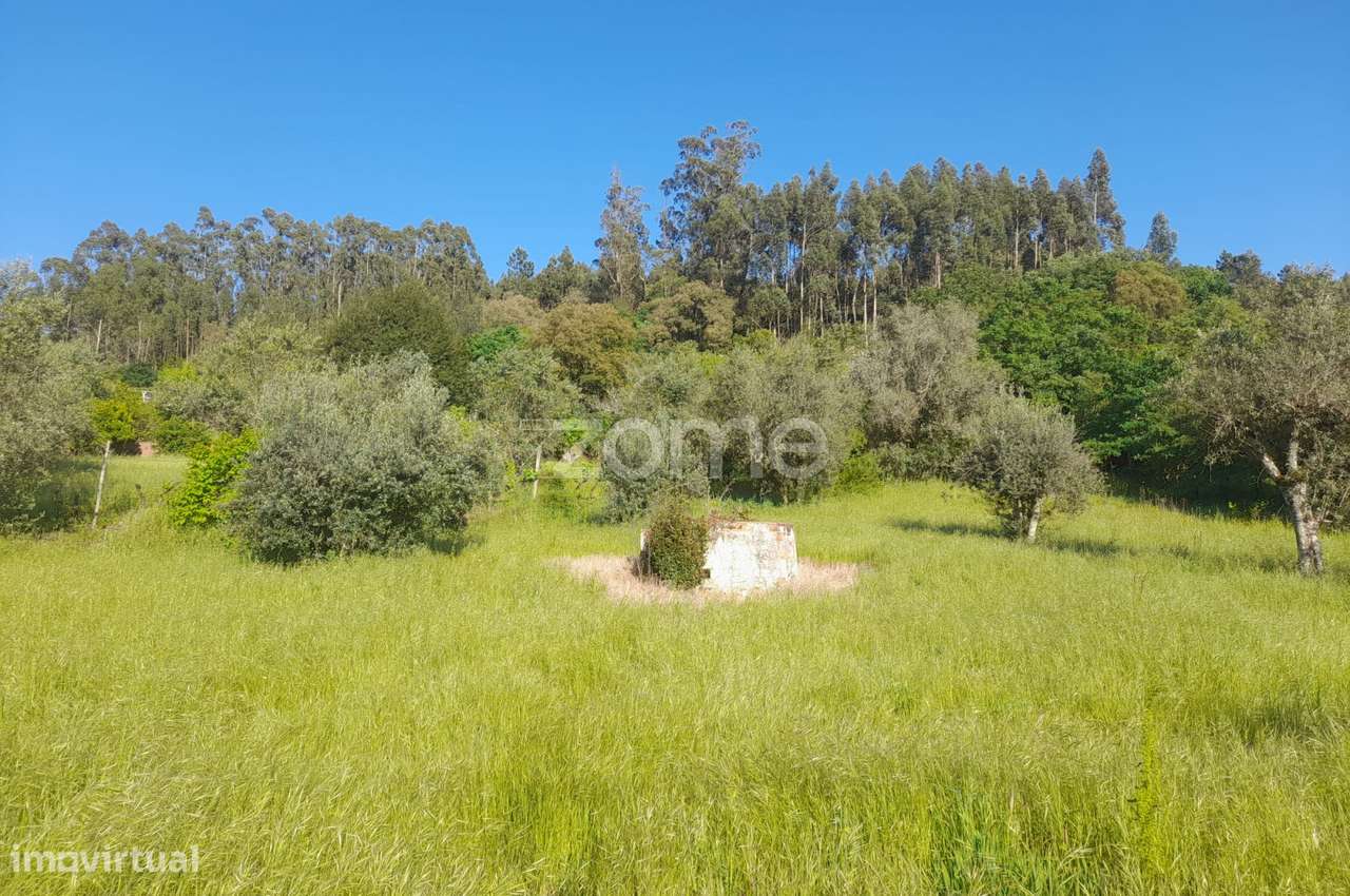 terreno rustico - Grande imagem: 4/24