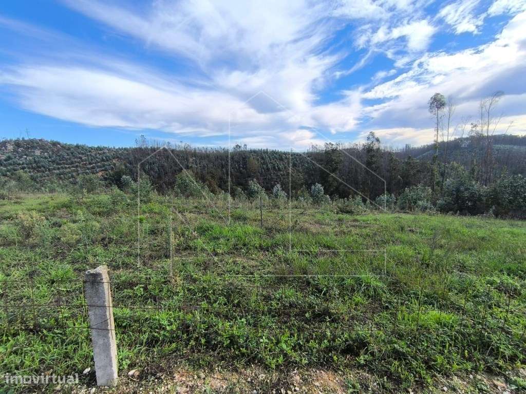 Terreno com 4.000 m² Oportunidade de Investimento - Grande imagem: 4/4