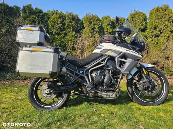 Triumph Tiger - 1