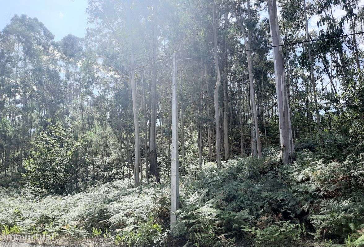 Terreno  para venda - Grande imagem: 4/6