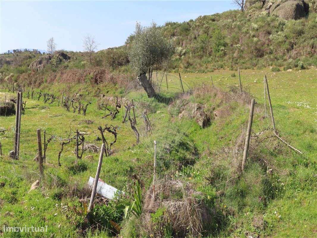 Quinta  para venda - Grande imagem: 2/50