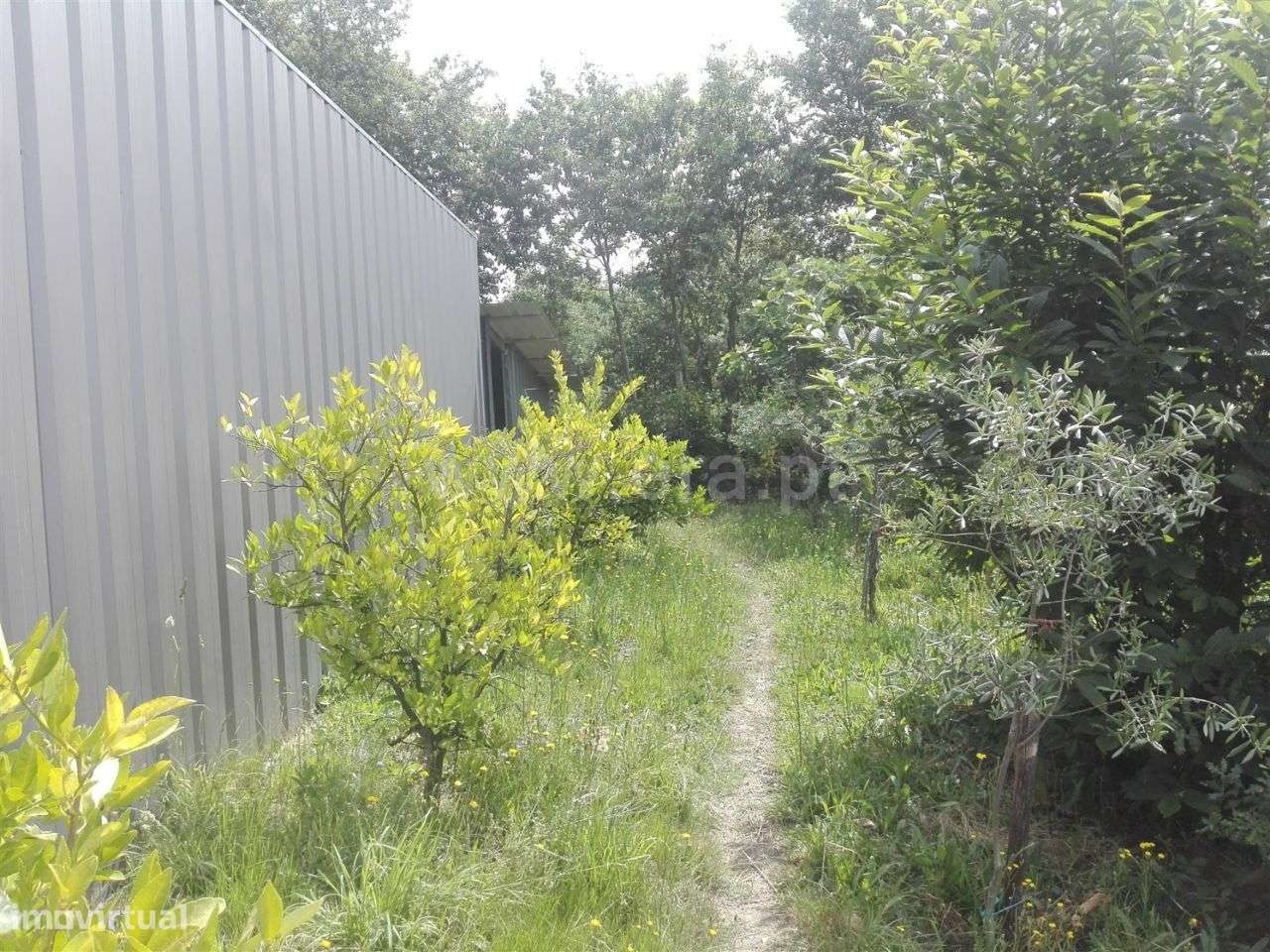 Terreno agrícola com 2.000 m2 em Estorãos - Grande imagem: 5/20